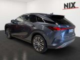 Lexus RX bei Sportwagen.expert - Abbildung (2 / 14)