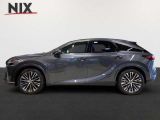 Lexus RX bei Sportwagen.expert - Abbildung (3 / 14)