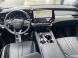 Lexus RX bei Sportwagen.expert - Abbildung (14 / 15)