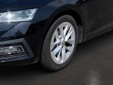 Skoda Octavia bei Sportwagen.expert - Abbildung (8 / 15)