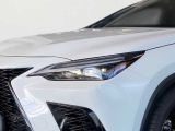 Lexus NX bei Sportwagen.expert - Abbildung (14 / 14)