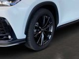 Lexus NX bei Sportwagen.expert - Abbildung (13 / 14)