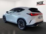 Lexus NX bei Sportwagen.expert - Abbildung (2 / 14)