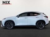 Lexus NX bei Sportwagen.expert - Abbildung (3 / 14)