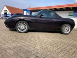 Fiat Barchetta bei Sportwagen.expert - Abbildung (4 / 13)