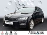 Skoda Octavia bei Sportwagen.expert - Abbildung (3 / 12)