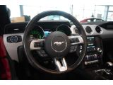 Ford Mustang bei Sportwagen.expert - Abbildung (12 / 15)