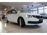 Skoda Octavia bei Sportwagen.expert - Abbildung (4 / 15)