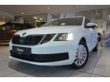 Skoda Octavia bei Sportwagen.expert - Abbildung (3 / 15)