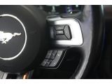 Ford Mustang bei Sportwagen.expert - Abbildung (15 / 15)