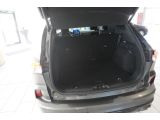 Ford Kuga bei Sportwagen.expert - Abbildung (7 / 15)