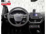 Ford Fiesta bei Sportwagen.expert - Abbildung (8 / 15)