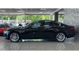 Jaguar XF bei Sportwagen.expert - Abbildung (4 / 15)