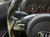 Kia Sportage bei Sportwagen.expert - Abbildung (9 / 15)