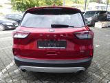 Ford Kuga bei Sportwagen.expert - Abbildung (3 / 11)