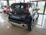 Fiat Panda bei Sportwagen.expert - Abbildung (3 / 13)