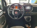 Fiat Panda bei Sportwagen.expert - Abbildung (7 / 13)