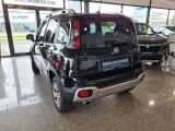 Fiat Panda bei Sportwagen.expert - Abbildung (4 / 13)