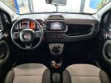 Fiat Panda bei Sportwagen.expert - Abbildung (8 / 13)