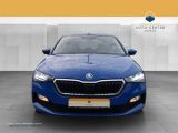 Skoda Scala bei Sportwagen.expert - Abbildung (2 / 15)