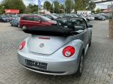 VW Beetle bei Sportwagen.expert - Abbildung (4 / 13)