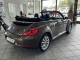 VW Beetle bei Sportwagen.expert - Abbildung (4 / 15)