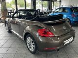 VW New Beetle bei Sportwagen.expert - Abbildung (2 / 15)