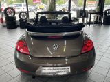 VW New Beetle bei Sportwagen.expert - Abbildung (3 / 15)