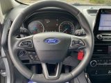 Ford EcoSport bei Sportwagen.expert - Abbildung (11 / 15)