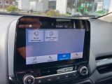 Ford EcoSport bei Sportwagen.expert - Abbildung (15 / 15)