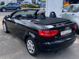 Audi A3 Cabriolet bei Sportwagen.expert - Abbildung (7 / 15)