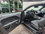 Dodge Challenger bei Sportwagen.expert - Abbildung (12 / 15)