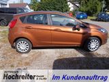 Ford Fiesta bei Sportwagen.expert - Abbildung (4 / 14)