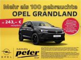 Opel Grandland X bei Sportwagen.expert - Abbildung (2 / 15)