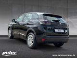 Peugeot 3008 bei Sportwagen.expert - Abbildung (3 / 15)