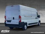 Opel Movano bei Sportwagen.expert - Abbildung (3 / 6)