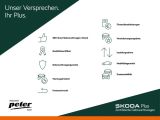 Skoda Kamiq bei Sportwagen.expert - Abbildung (14 / 15)