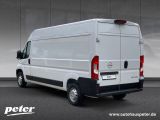 Opel Movano bei Sportwagen.expert - Abbildung (3 / 15)
