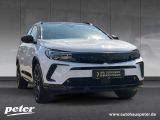 Opel Grandland X bei Sportwagen.expert - Abbildung (2 / 10)