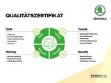 Skoda Octavia bei Sportwagen.expert - Abbildung (12 / 15)