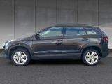 Skoda Karoq bei Sportwagen.expert - Abbildung (6 / 15)