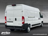 Opel Movano bei Sportwagen.expert - Abbildung (4 / 15)
