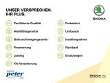 Skoda Fabia bei Sportwagen.expert - Abbildung (4 / 15)