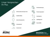 Skoda Fabia bei Sportwagen.expert - Abbildung (5 / 15)