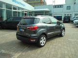 Ford EcoSport bei Sportwagen.expert - Abbildung (4 / 15)