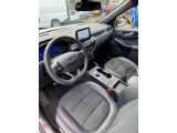 Ford Kuga bei Sportwagen.expert - Abbildung (11 / 14)