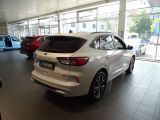 Ford Kuga bei Sportwagen.expert - Abbildung (6 / 15)