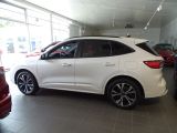 Ford Kuga bei Sportwagen.expert - Abbildung (3 / 15)