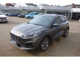 Ford Kuga bei Sportwagen.expert - Abbildung (3 / 15)