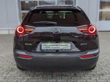 Mazda MX-30 bei Sportwagen.expert - Abbildung (4 / 14)